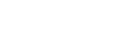 rapid-trans@2x